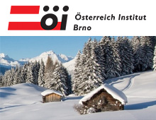SEO správa pro Österreich Institut Brno